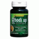 RHODI UP - 40 caps