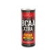 BCAA XTRA DRINK 24 Lattine da 250 ml