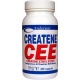 CREATENE CEE