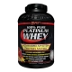 PLATINUM WHEY