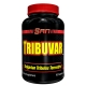 TRIBUVAR